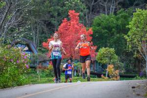 BIB: 8175
                            <button type="button" onclick="openModal(19238957)" class="btn btn-primary btn-sm float-right btn-popup" data-toggle="modal" data-target=".modal-high-quality">
                        <i class="fas fa-shopping-cart"></i> Add to Cart
                    </button>
                                            <button type="button" onclick="isThisMe(19238957, true)" class="btn btn-success btn-sm float-right btn-popup btn-isme hidden" data-toggle="tooltip" data-placement="bottom" title="นี่คือรูปของคุณใช่ไหม คลิกที่นี่เพื่อเอาเข้าอัลบั้ม">
                        <i class="fas fa-plus"></i> Add to album
                    </button>
                    <button type="button" onclick="isThisMe(19238957, false)" class="btn btn-warning btn-sm float-right btn-popup btn-isnotme hidden">
                        <i class="fas fa-ban"></i> Remove from album
                    </button>